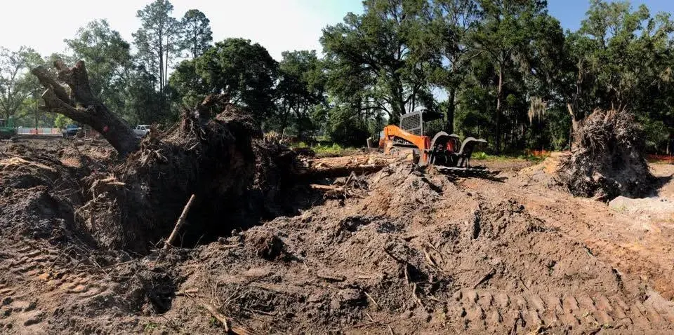 Grapple track loader moving uprooted stumps and root balls on a cleared lot near DeLand, FL
