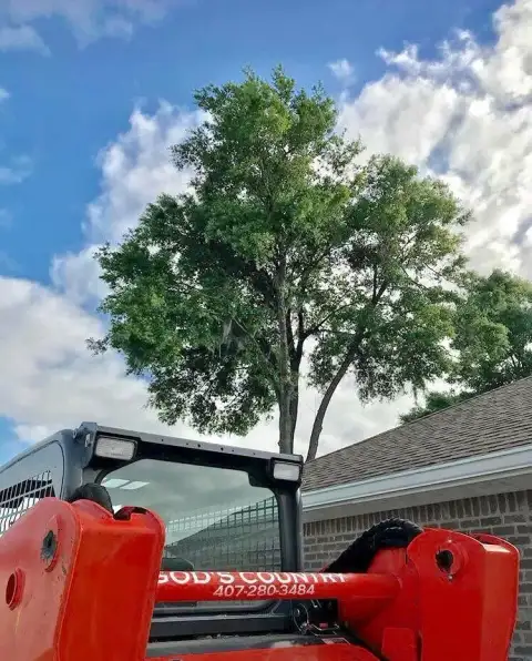 God's Country skid steer below a green oak at a DeLand, FL home