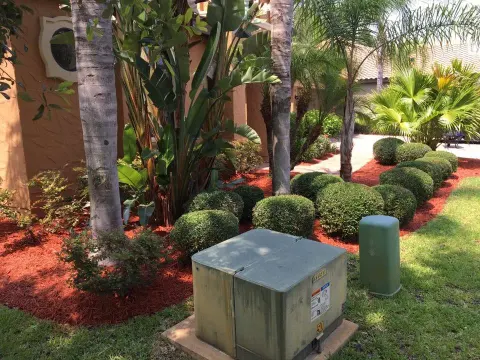 Freshly planted and mulched landscape beds with palms and shrubs installed in DeLand, FL