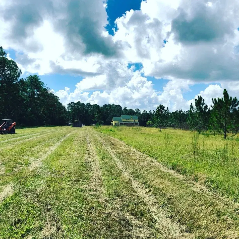 Freshly mowed acreage with a skid steer and pine tree line near DeLand, FL