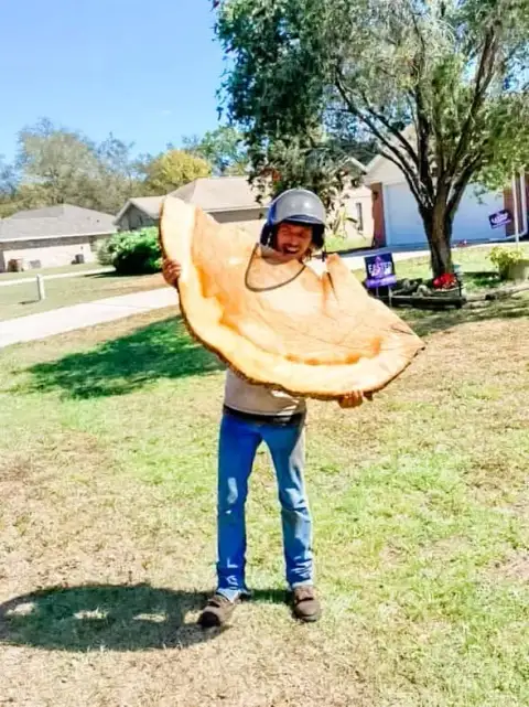God's Country crew member holding a wide cross-cut trunk slab after a DeLand, FL tree removal