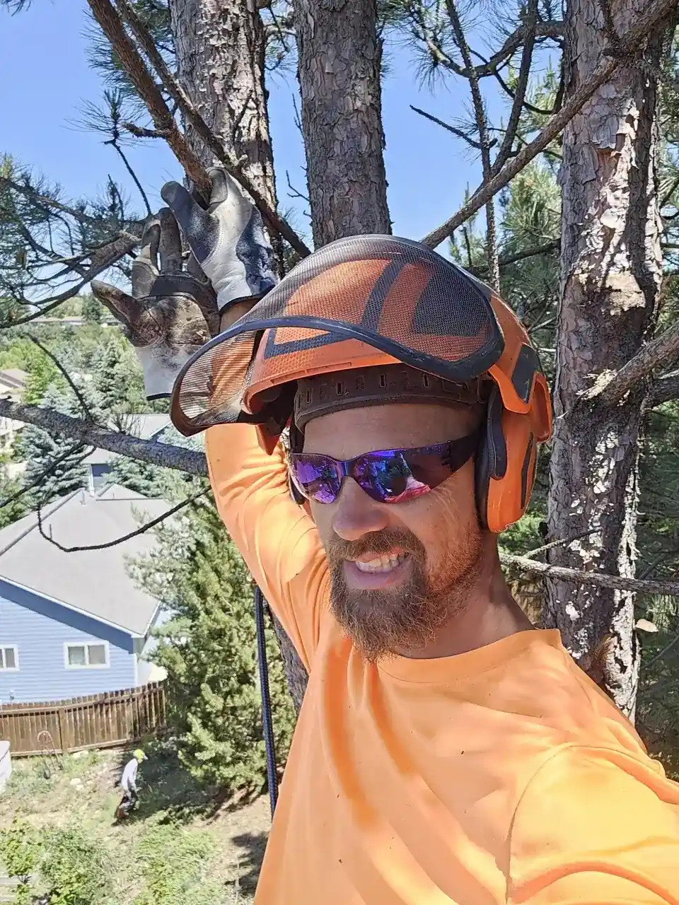 Tree work by God's Country Tree Service in DeLand, FL
