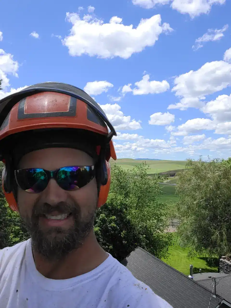 Caleb, owner of God's Country Tree Service, in orange arborist helmet on a DeLand, FL job site