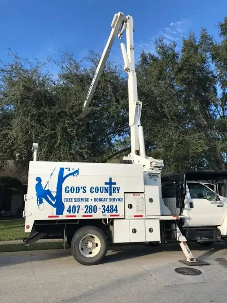 Climber trimming limbs inside a live oak canopy during tree trimming in DeLand, FL